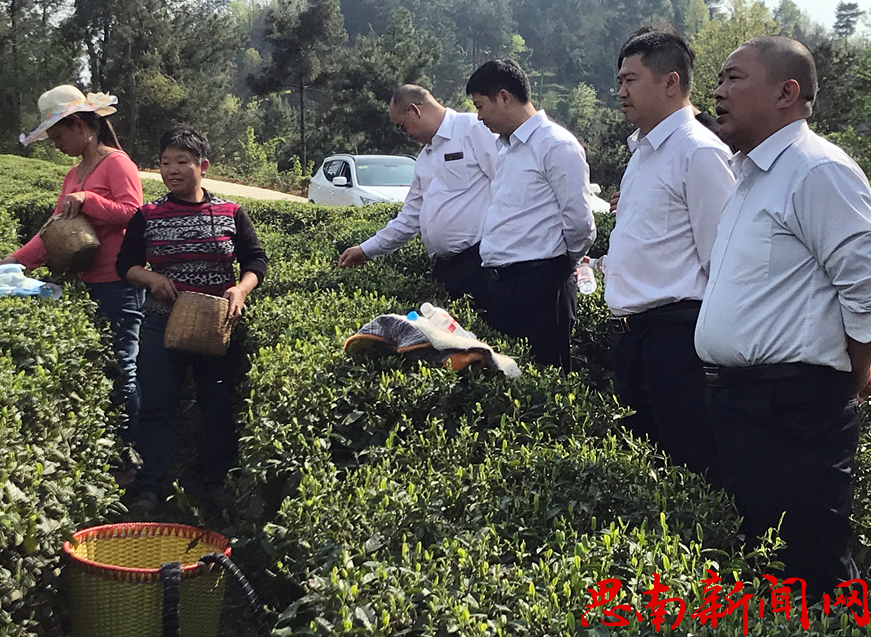 思南長征村鎮(zhèn)銀行到香壩鎮(zhèn)走訪調研